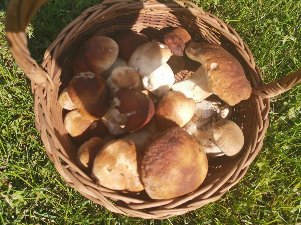 Appartamento Agrochalupki Korczowa Esterno foto
